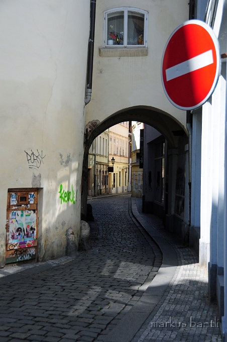 DSC_7943.JPG