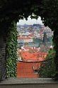 DSC_7793_1
