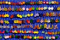 DSC_7955_1