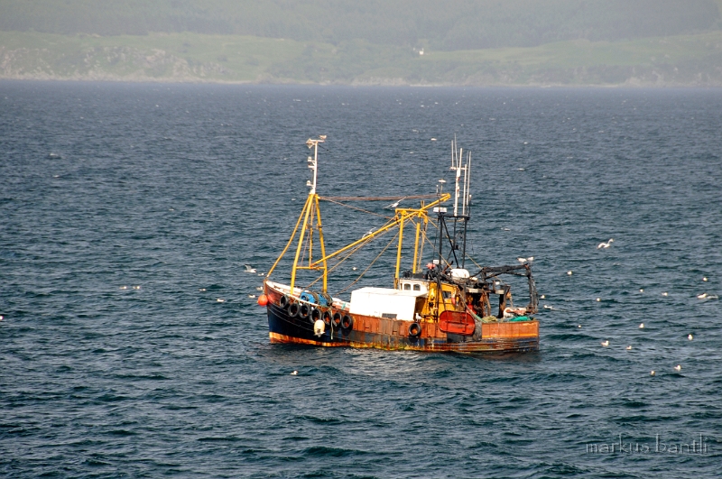 _DSC0648.JPG - auf der Fähre nach Skye