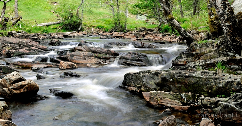 _DSC0698.JPG