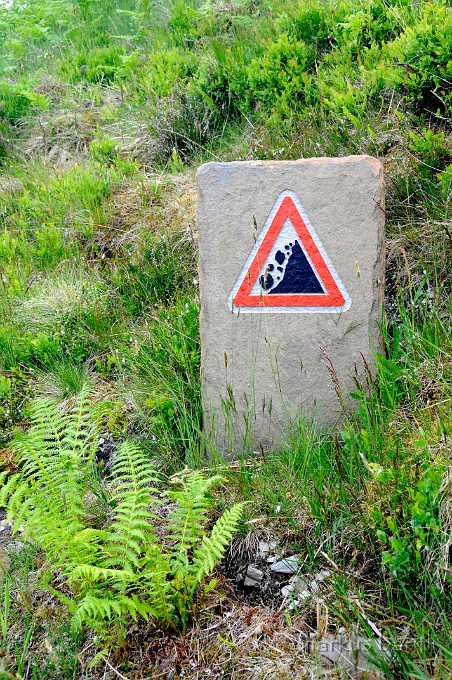 _DSC0734.JPG