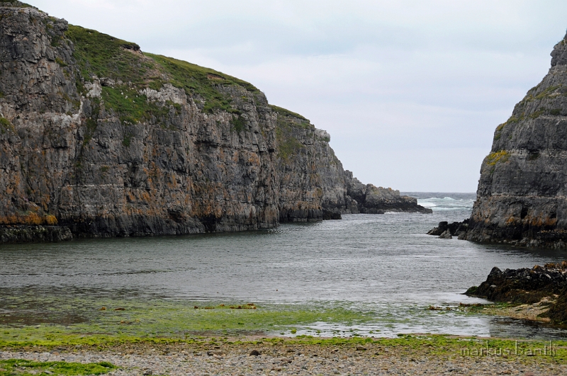 _DSC0781.JPG