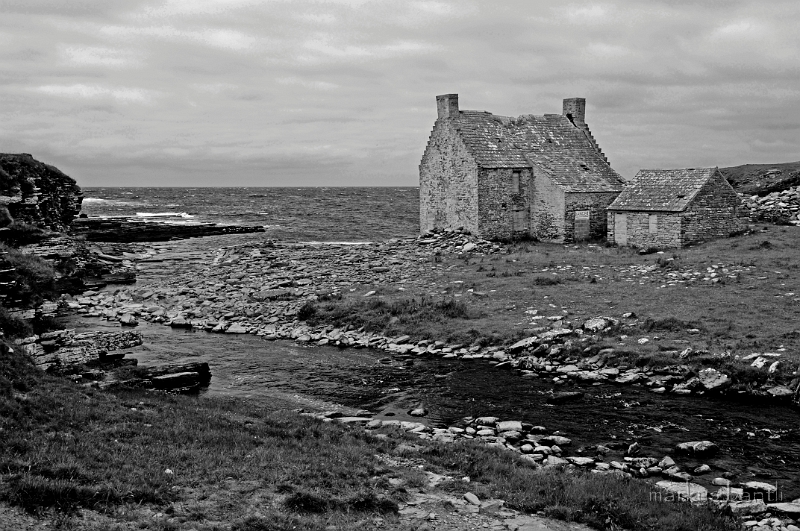 _DSC0800.jpg