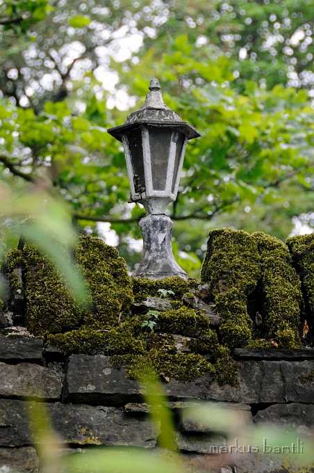 _DSC0855.JPG