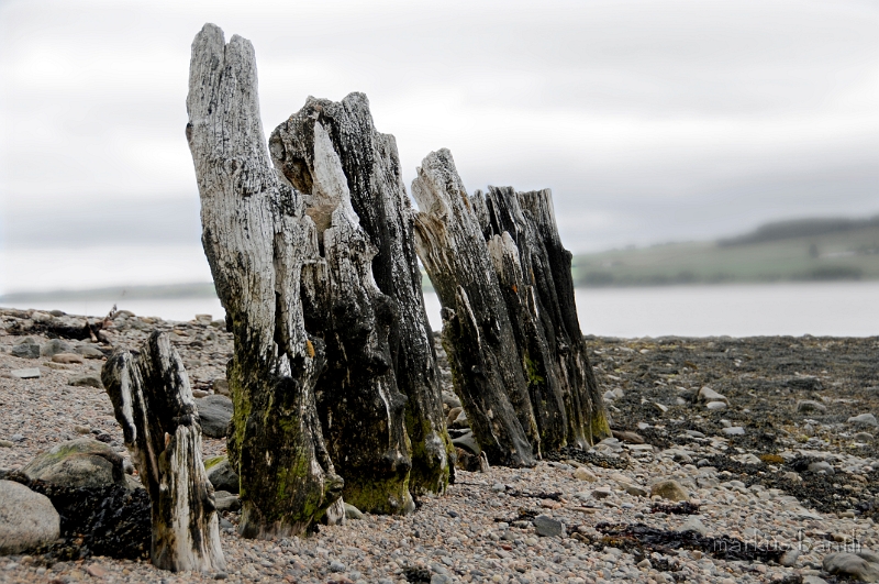 _DSC0878.JPG