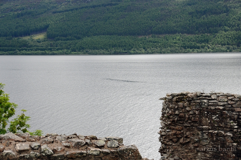 _DSC0928.JPG - Nessie ???