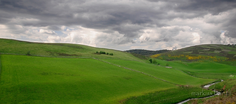 _DSC1045_1.jpg