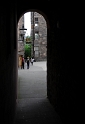 _DSC0557