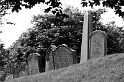 _DSC0597
