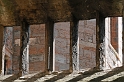 _DSC0600