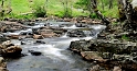 _DSC0698