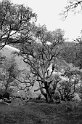 _DSC0702_sw