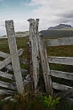 _DSC0726