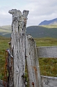 _DSC0728