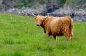 _DSC0768