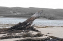 _DSC0795