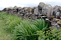 _DSC0798