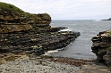 _DSC0803