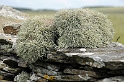 _DSC0807