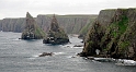 _DSC0816