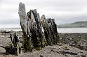 _DSC0878