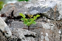 _DSC0922