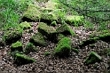 _DSC0965