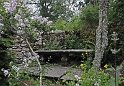 _DSC0974