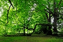 _DSC0979