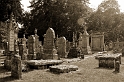 _DSC0983