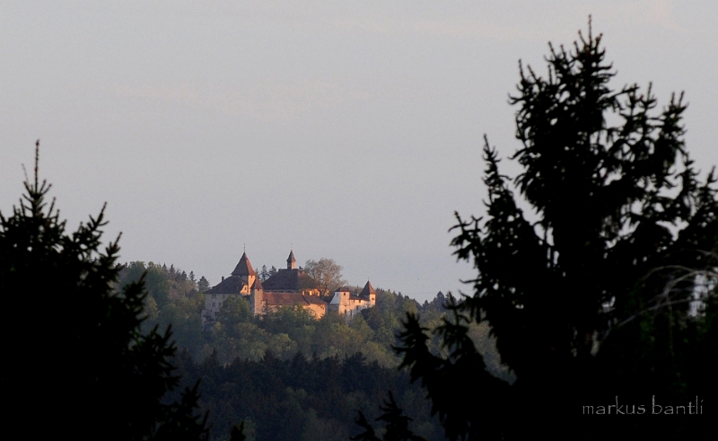 DSC_757_1.jpg