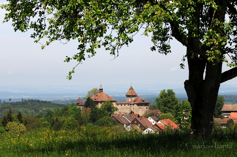 DSC_7588_1.jpg
