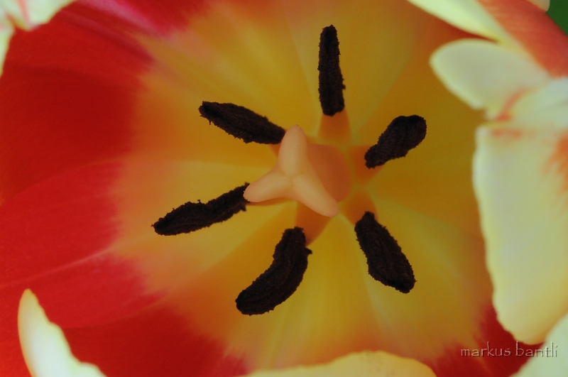 DSC_2224.JPG