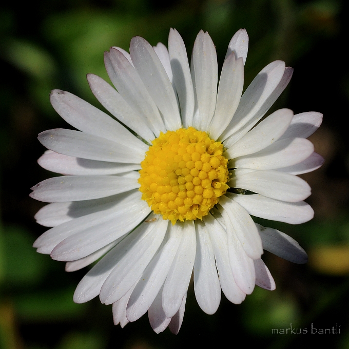 DSC_4614.jpg