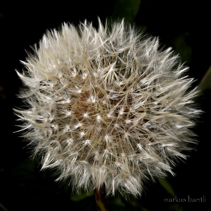 DSC_4673.jpg