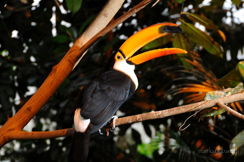 _DSC9268.jpg