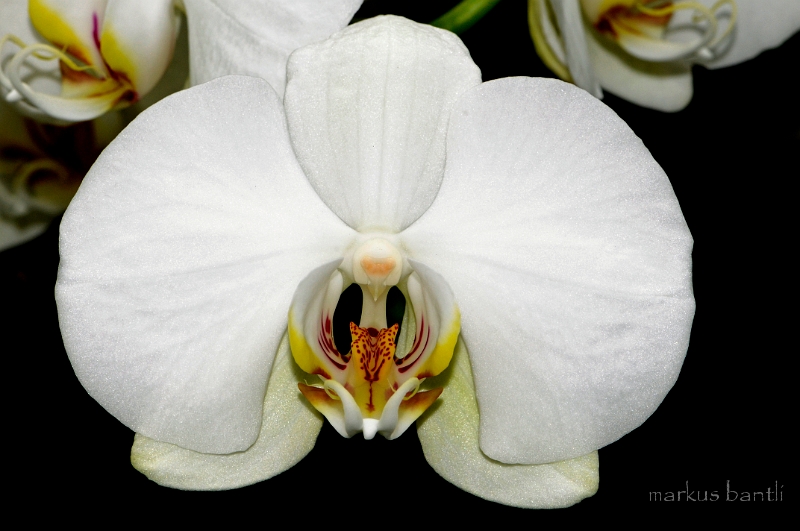 _DSC9293.jpg