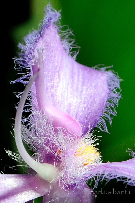 _DSC9309.jpg