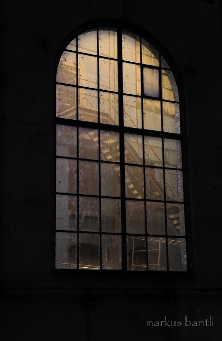 DSC_4240.jpg