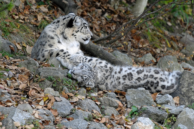 x_DSC2725.jpg
