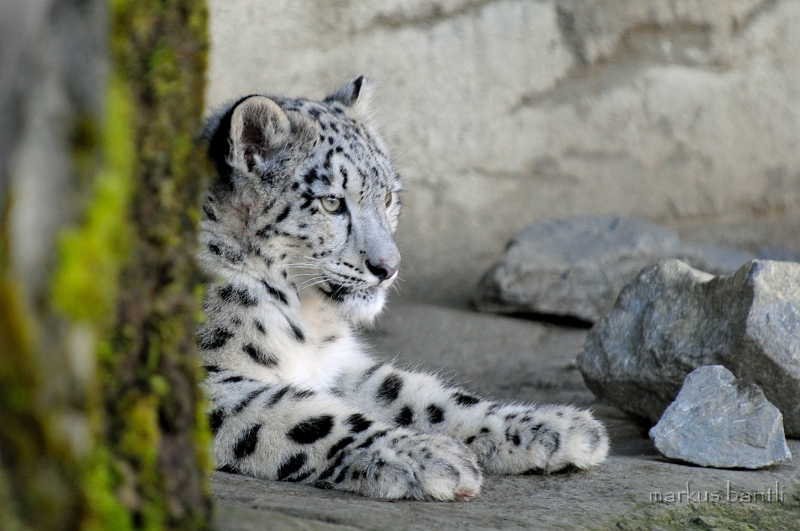 x_DSC2840.jpg