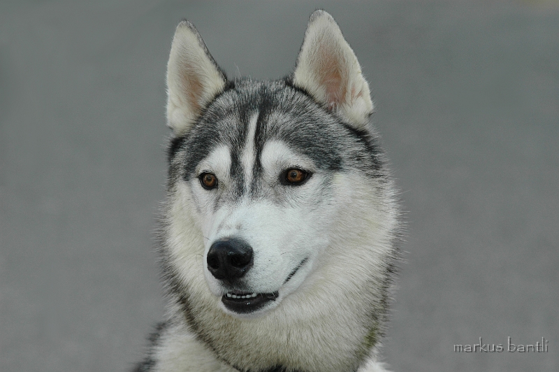 DSC_1282.jpg